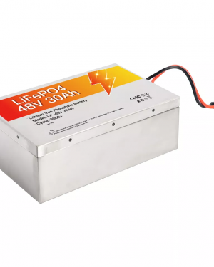 Lithium Ion Battery Pack Electric Bike Battery With Smart BMS