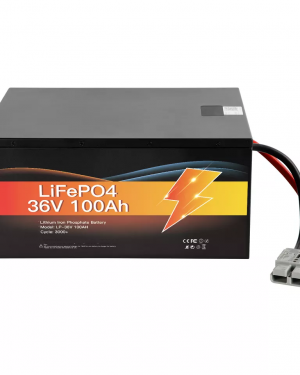 Deep Cycle Lifepo4 Energy Storage Battery Pack