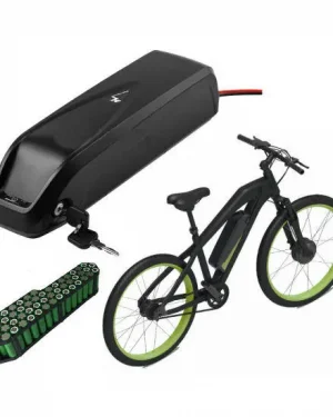 Electric Bike Battery 36V 10ah Ebike Battery with Hailong Case